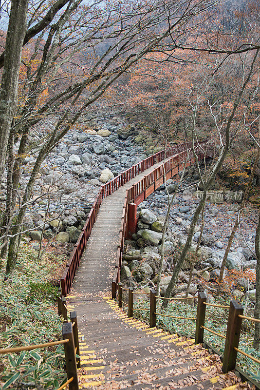 Hallasan Eorimok Course, Jeju Island汉拿山鱼里木路线